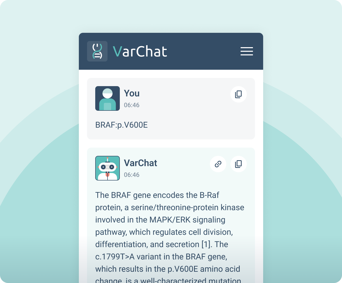 Varchat detail 2