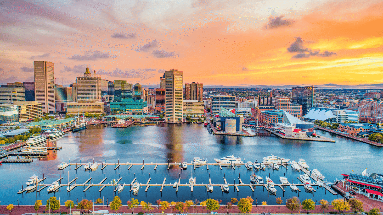 Baltimore US 55b76aaba6