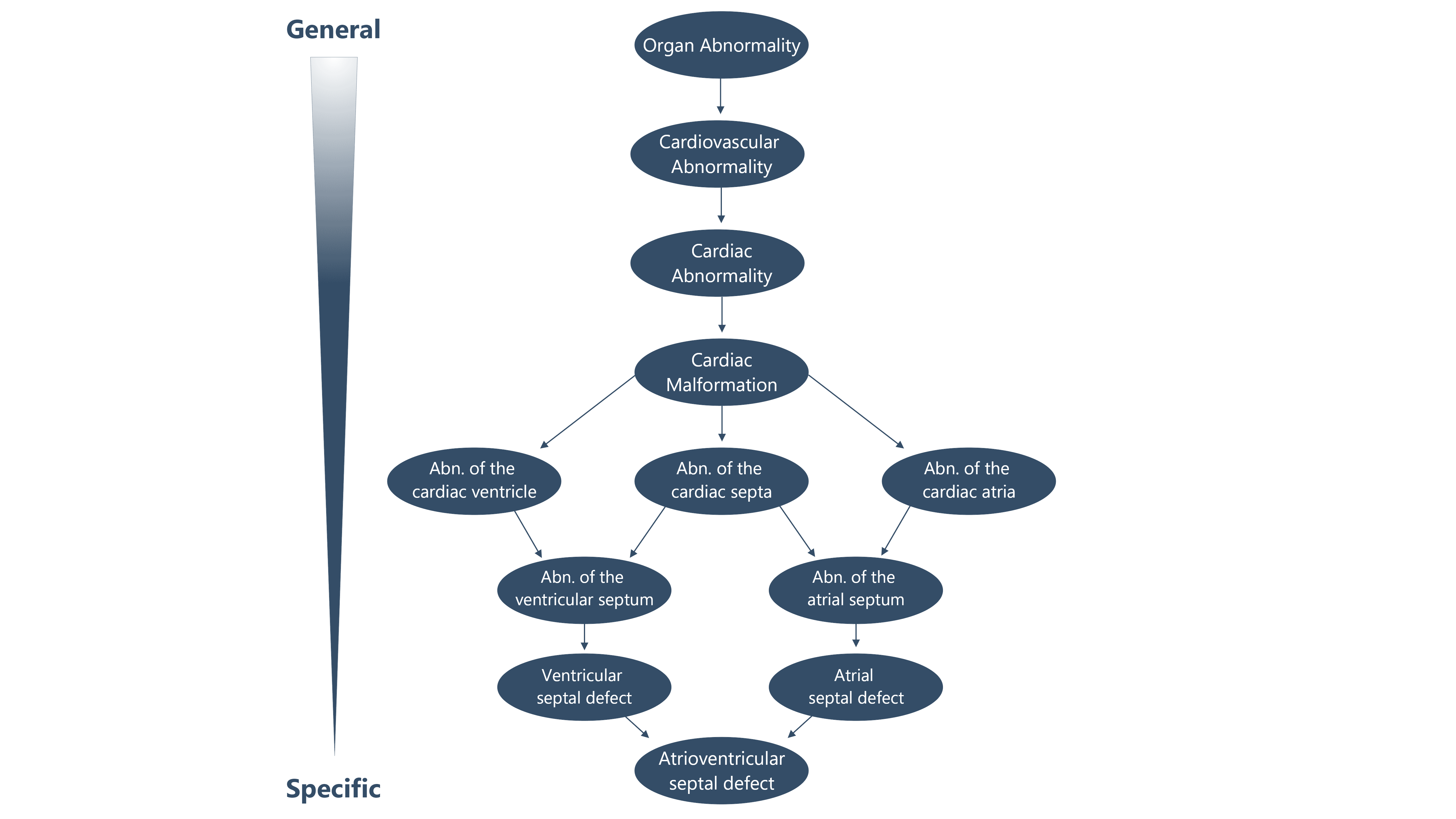 Fig-HPO_16_9.png